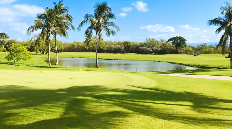 Campo de Golf con Estanque y Palmas de Coco Campo de Golf con Estanque y Palmas de Coco