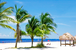Compra de inmobiliarias en Fort Myers Beach. Casas y condominios. Agentes de bienes raices en Florida suroeste, REALTORS